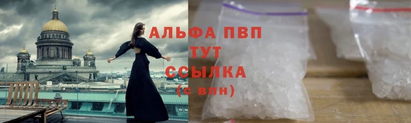 тгк Абаза
