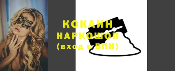 тгк Абаза