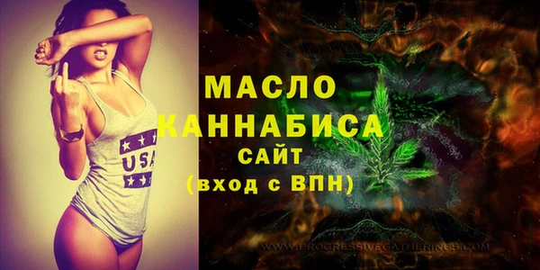 тгк Абаза