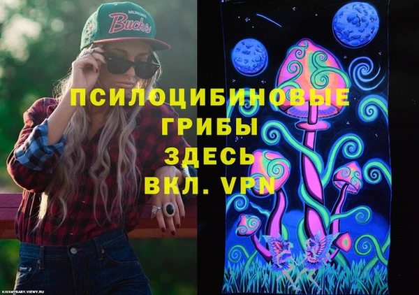 ешки Покачи